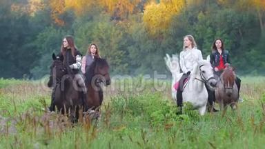 4.四个小女孩骑着漂亮的马走在雾蒙蒙的森林附近的草地上
